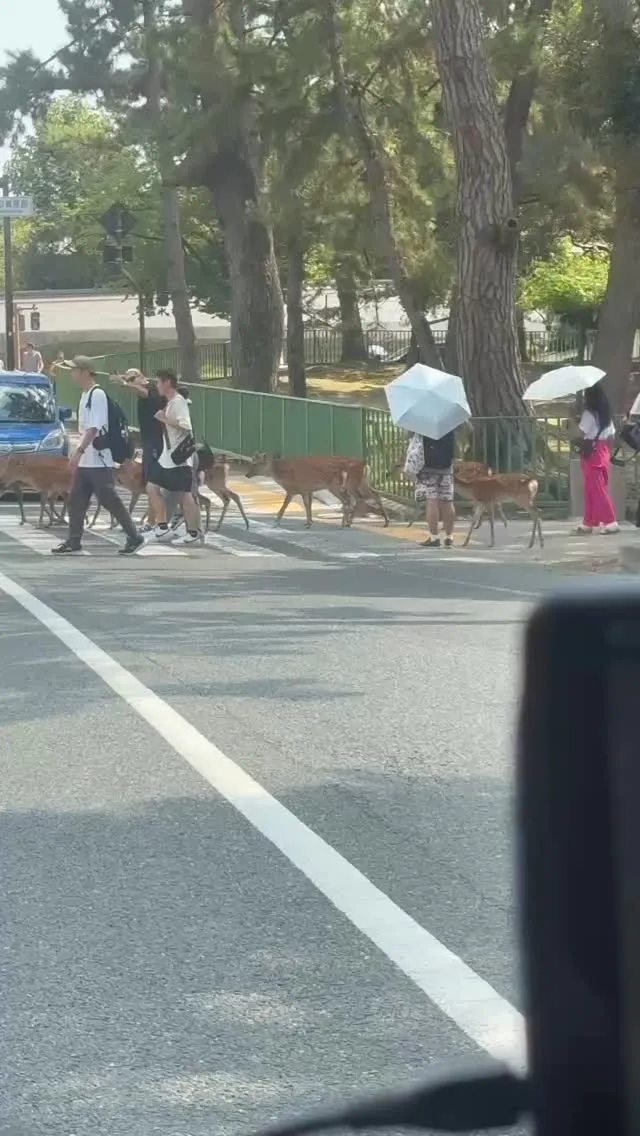 こんにちは、やまとんです。
